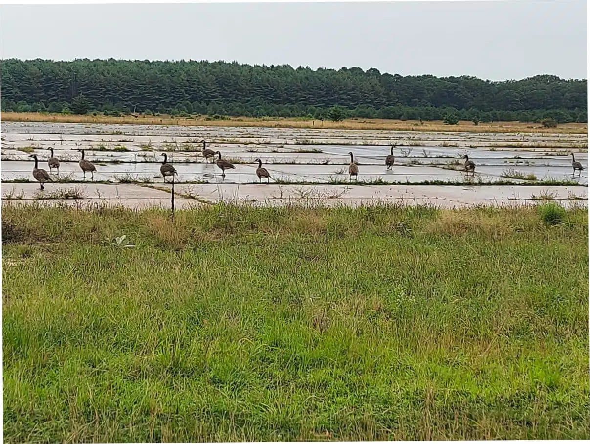 Wellbridge Stabilization Program gallery thumbnail 9
